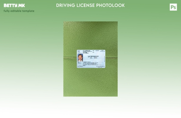 Модерен стил во Индија Карнатака, шаблон со фото изглед на државната возачка доз